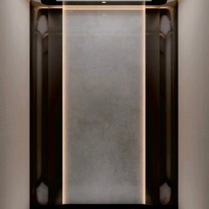 Ascensor de Vidrio Pequeño, Económico, Compacto, para Interiores y Exteriores, sin Eje, para 2-3 Personas - Product Image 6