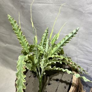 EG-J237 Décoration de porte <span class=keywords><strong>en</strong></span> <span class=keywords><strong>pot</strong></span> Bouquet de plantes artificielles Faux fleur Plante verte Fougère - Product Image 3