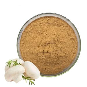 Extracto de <span class=keywords><strong>Coprinus</strong></span> <span class=keywords><strong>Comatus</strong></span> Shaggy Mane, Polvo de Polisacárido Beta Glucano, Impulso de Energía - Product Image 1