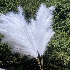 Hoa Cỏ Pampas Khô Tự Nhiên SumerfFlora 70 CM Cây Cỏ Nhân Tạo Bó Hoa Trang Trí Cho Trang Trí Nhà Cửa Đám Cưới