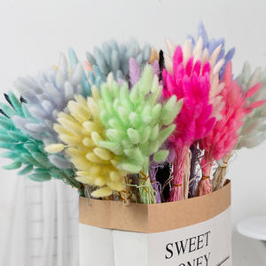 G46 Home decorations DIY Bouquet 60pcs Wedding <span class=keywords><strong>Detor</strong></span> Séché Conservé Bunny Tails Grass Flower Multicolor Rabbit Tail Grass - Product Image 1