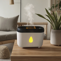 Humidificateur d'air électrique à ultrasons Portable 100ml Diffuseur d'aromathérapie d'huile essentielle de flamme de feu alimenté par USB