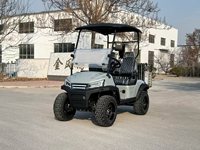 Voiturette de golf tout-terrain deux places, 4 roues, frein hydraulique, homologuée pour la route, buggy électrique avec éclairage LED, couleur personnalisée disponible