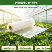Film de Couverture de Serre Premium Diffuseur de Lumière en PO, Film Plastique Agricole Anti-UV Anti-Goutte, Vente en Gros