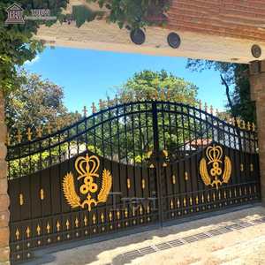 Espléndida y lujosa puerta de hierro forjado sólido con estilo para el hogar - Product Image 5