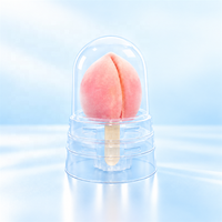 Emballage plastique avec étui en papier et impression de logo personnalisé pour glace aux fruits 3D