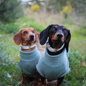 <span class=keywords><strong>Chaleco</strong></span> <span class=keywords><strong>para</strong></span> Perro de Lana Ecológica Clásico Personalizado de Qiqu Pet Supplier, Sudadera Suave de Polar <span class=keywords><strong>para</strong></span> Perro, Jersey Personalizado <span class=keywords><strong>para</strong></span> <span class=keywords><strong>Doberman</strong></span> - Product Image 1