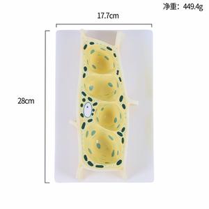 แบบจำลองกายวิภาคศาสตร์เซลล์พืชที่ทนทานสำหรับการศึกษาด้านพฤกษศาสตร์และวิทยาศาสตร์แบบจำลองเซลล์ที่ชัดเจนและมีรายละเอียดสำหรับบทเรียนชีววิทยาและพฤกษศาสตร์ - Product Image 6