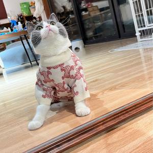 JXANRY rompi wol musim dingin untuk anjing lucu Maltese Schnauzer Teddy Bica Sweater tanpa lengan untuk keturunan kecil musim gugur/musim dingin aksesori - Product Image 4