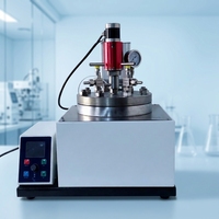 Bomba de Reacción Automática de Alta Presión Serie MHR 2-3L con Motor PLC para Pruebas Químicas, Alta Productividad y Facilidad de Uso