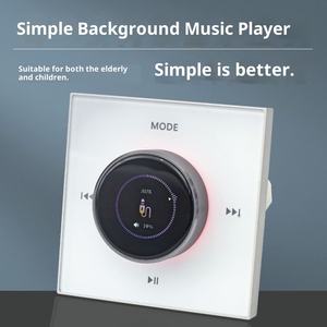 Vente en gros 2X25W Mini amplificateur <span class=keywords><strong>de</strong></span> son surround stéréo intelligent pour récepteur mural Bluetooth avec contrôleur intelligent <span class=keywords><strong>de</strong></span> musique <span class=keywords><strong>de</strong></span> <span class=keywords><strong>fond</strong></span> - Product Image 3