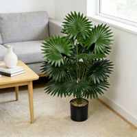Arbres artificiels Monstera Bonsai personnalisés pour la décoration intérieure et extérieure avec des plantes artificielles en plastique vert palmier et des oliviers artificiels