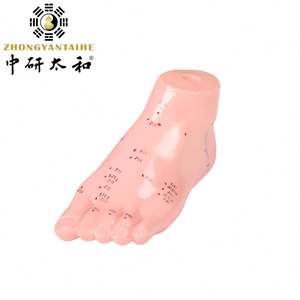 Modèle d'<span class=keywords><strong>acupuncture</strong></span> des pieds, médecine chinoise, 13cm, Science du corps, réflexologie, nouveau - Product Image 2