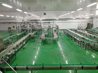 Ligne de production complète de fruits en conserve Ananas Orange Mangue Litchi Lychee Machine de mise en conserve alimentaire