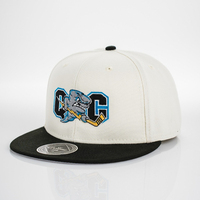 Casquette à visière plate personnalisée à 6 panneaux, créez votre logo, casquettes snapback vintage pour sports de plein air pour hommes