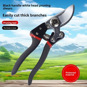 Sécateur à tête blanche et poignée noire <span class=keywords><strong>pour</strong></span> la taille des branches, des arbres fruitiers et des fleurs - Ciseaux en <span class=keywords><strong>bambou</strong></span> - Product Image 2