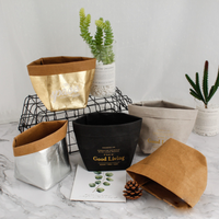 Sac en papier kraft lavable à prix avantageux pour la plantation de fleurs à domicile
