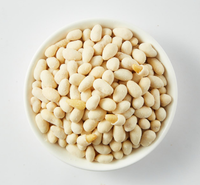 Nueces de Pino Recubiertas de Wasabi, Bocadillos de Nueces con Sabor a Wasabi, Nueces Saludables, Bocadillos Crujientes y Sabrosos