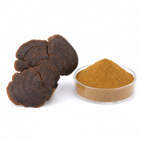 Poudre de Phellinus Linteus de haute qualité Sang-hwang EU & USDA, extrait de champignon biologique, bêta-glucanes, Megazyme