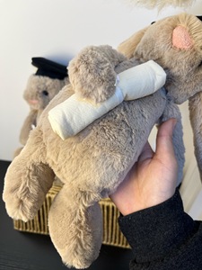 Peluche Coniglio Jelly Cats Classe 2026 per il Raggiungimento della Piazzata di Laurea con Sacchetto Antipolvere Gratuito, Regalo Commemorativo per Studenti - Boutique - Product Image 4