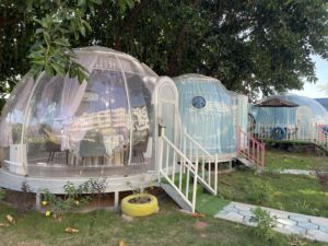 Dôme Transparent pour le camping, abri pour activités extérieures, germissement, pour aventure, nouveauté <span class=keywords><strong>2020</strong></span> - Product Image 4