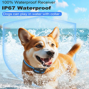 <span class=keywords><strong>Collar</strong></span> de Adiestramiento para Perros con Control Remoto, Alcance de 1000 Metros, Resistente al Agua IP67, 3 Modos de Entrenamiento, Recargable - Product Image 3