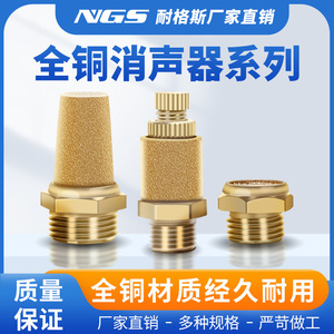 ตัวกรองลมทองเหลือง NGS ขนาด M5 1/2 นิ้ว สำหรับเครื่องอัดอากาศ - Product Image 5