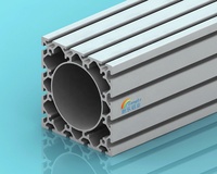 Profils en aluminium anodisé noir 6063 Alu 2020 2080 3030 4040 4080 8080 9090 100100 120120 avec rainure en T pour extrusion CNC
