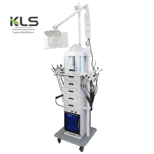 Multifuncional 19 Nl 1 Korporaal Y Facial Cleaning Schoonheid Machine 19 In 1 Multifunctionele Facial Machine