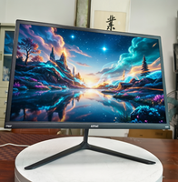 Yingtouch B19 18.5 Inch Black New LED DC VGA 1920x1080 HD High Refresh Rate Professional Gaming Monitor
