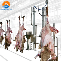 Solusi Rumah Potong Hewan (RPH) Terpadu untuk Domba, Rumah Potong Hewan (RPH) Kambing Halal, Peralatan Lini Pengolahan Daging, Mesin Khusus, Bersertifikasi CE