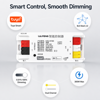 Driver LED Dual Output Tuya Zigbee Smart Dimmer BLE Mesh 2.0 12-24V 300W PWM Dimmable SELV