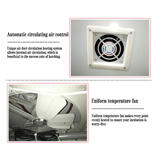 2640 gà trứng lồng ấp cho công nghiệp nở - Product Image 4