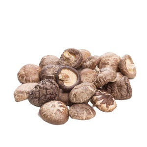 Mycélium de champignon Shiitake séché, <span class=keywords><strong>prix</strong></span> avantageux, fabriqué en Chine - Product Image 1