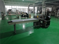 Ligne de production de pailles à boire, machine d'emballage de pailles en plastique PLA, machine d'emballage de barres céréalières, de fruits, de légumes, de pain et de farine