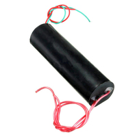 1000000V DC 3.7V-7.4V 1000KV Boost Step Générateur haute tension Bobine d'allumage Module d'alimentation d'impulsion Transformateur d'allumeur