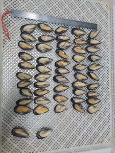 <span class=keywords><strong>Mejillones</strong></span> con media concha <span class=keywords><strong>congelados</strong></span>, <span class=keywords><strong>cocidos</strong></span>, limpios y listos para servir - Product Image 4