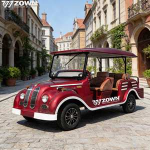 Carro Eléctrico de Turismo Estilo Clásico, Suministro Directo de Fábrica, Motor de 5KW, 4 Ruedas, Alimentado por Litio, con 2 Años de Garantía - Product Image 5