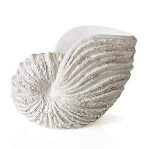 Nautilus Schelp Sculptuur-Strand Thema Oceaan Decor Voor Thuis-Rustieke Witte Hars Vervaardigd Kustschelp Plank Decor - Product Image 1