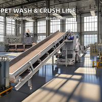 Ligne de lavage en plastique recyclé pour animaux de compagnie Machine à laver et sécheuse Machine complète
