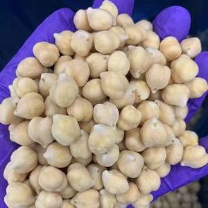 Legumbres ricas en nutrientes de garbanzos congelados de primera calidad para <span class=keywords><strong>delicias</strong></span> culinarias globales - Product Image 2