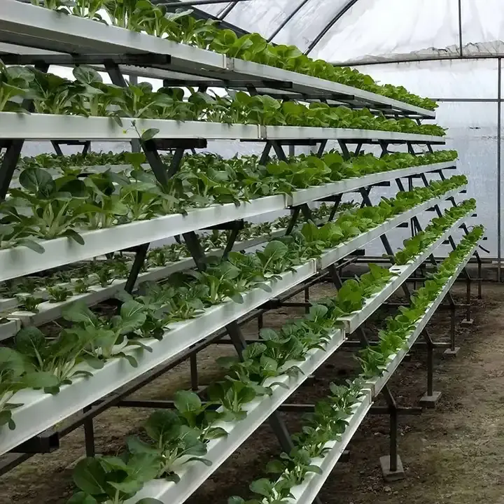 水耕栽培システム垂直Nftチャネル栽培農業サラダ野菜