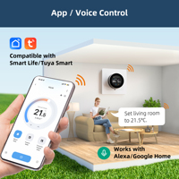 Termostato Inteligente WiFi para Caldera de Gas Beok, Controlador de Ahorro de Energía, Fabricante OEM