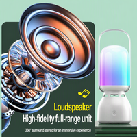 Mini-enceinte portable sans fil 5.3 étanche IPX4 pour extérieur, camping, avec subwoofer RGB et système sonore d'ambiance