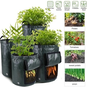 GL Nuevo Saco de Cultivo de Patatas para Jardín, 1 Unidad, de Tela PE, Maceta Gruesa para Hortalizas con Asas y Abertura de Acceso, 7 Galones - Product Image 5