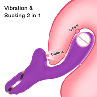 Vibromasseur Rose 10 Fréquences de Succion 10 Fréquences de Vibration pour Femme, Plaisir Instantané, Orgasme, Masturbation, Produits pour Adultes, Baguette AV