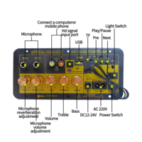Carte d'amplification de subwoofer haute puissance 60W à fibre optique D50 pour haut-parleur DJ de 8 à 18 pouces et audio de voiture
