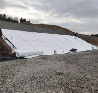 Filet de drainage géocomposite 3D pour mur de soutènement de décharge, système de drainage de barrage, couche de géonetz en PEHD