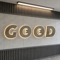 Letreros de Metal 3D de luz Premium retroiluminada, letrero de letras luminosas LED personalizado, logotipo de personajes luminosos LED de Metal impermeable para negocios
