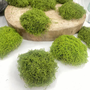 8 Piezas de <span class=keywords><strong>Musgo</strong></span> <span class=keywords><strong>Artificial</strong></span> para Decoración de Micro Paisajes y Bonsáis, Follaje <span class=keywords><strong>Artificial</strong></span> Realista - Product Image 1